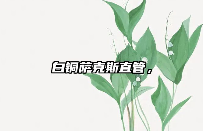 白銅薩克斯直管，