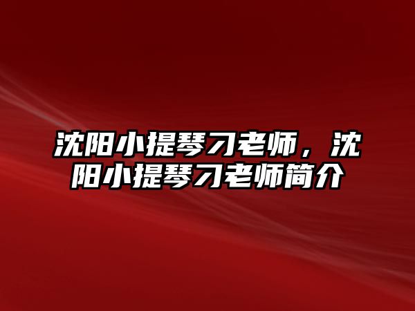 沈陽小提琴刁老師，沈陽小提琴刁老師簡介