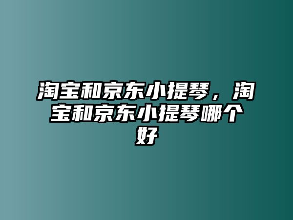 淘寶和京東小提琴，淘寶和京東小提琴哪個好