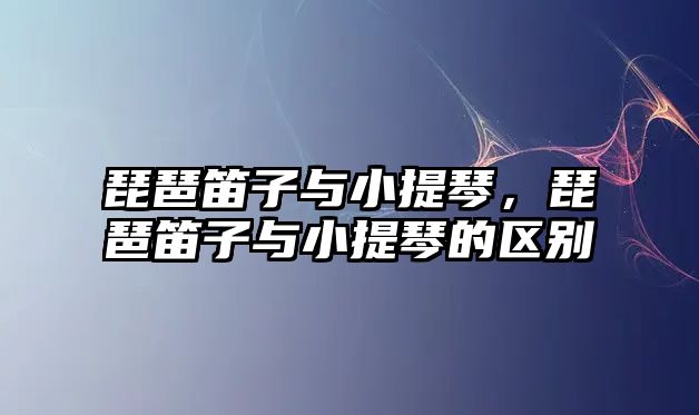 琵琶笛子與小提琴，琵琶笛子與小提琴的區別