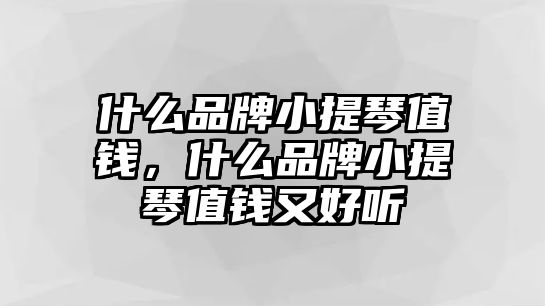 什么品牌小提琴值錢，什么品牌小提琴值錢又好聽