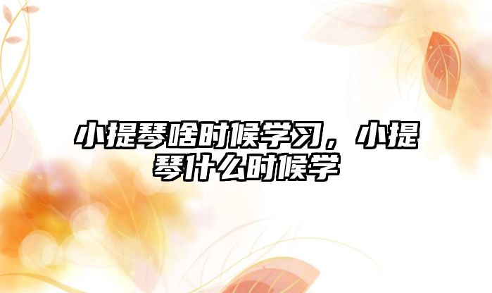 小提琴啥時候學習，小提琴什么時候學