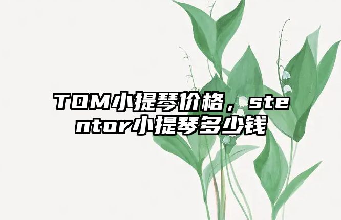 TOM小提琴價格，stentor小提琴多少錢