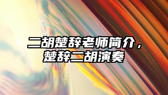 二胡楚辭老師簡介，楚辭二胡演奏