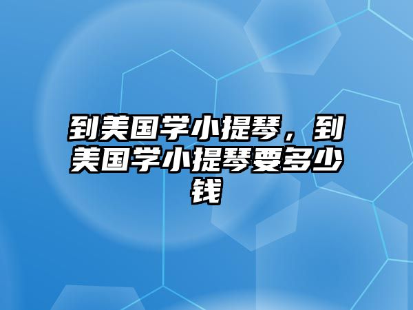 到美國學小提琴，到美國學小提琴要多少錢