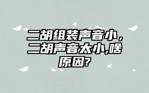 二胡組裝聲音小，二胡聲音太小,啥原因?