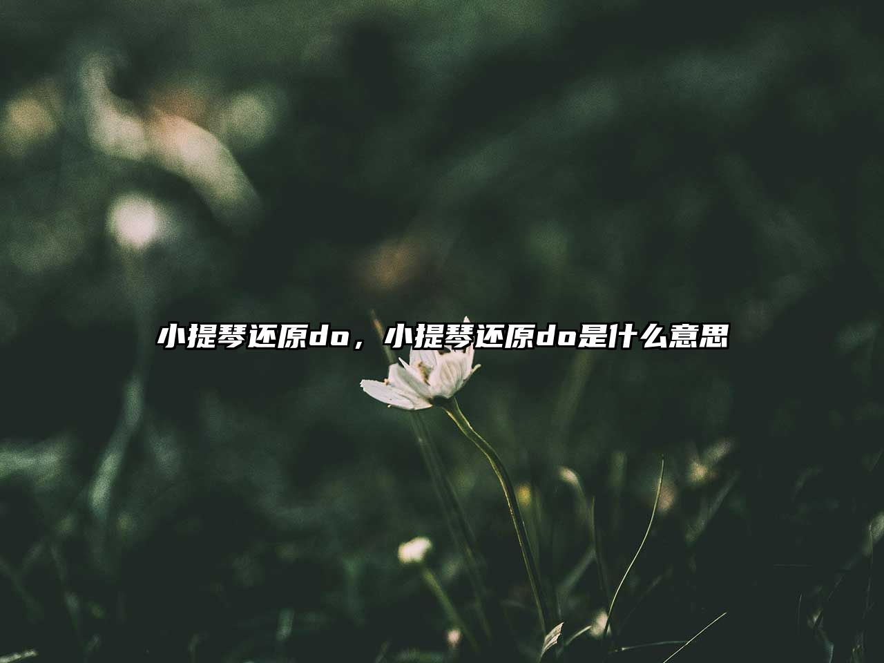 小提琴還原do，小提琴還原do是什么意思