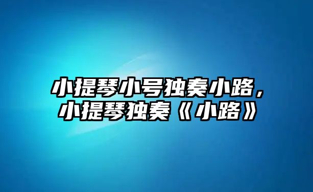 小提琴小號獨奏小路，小提琴獨奏《小路》