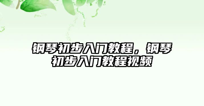 鋼琴初步入門教程，鋼琴初步入門教程視頻