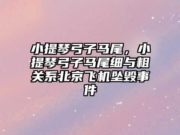 小提琴弓子馬尾，小提琴弓子馬尾細與粗關系北京飛機墜毀事件