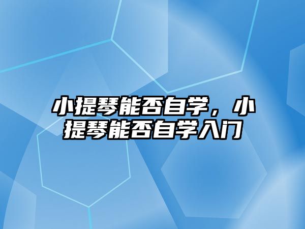 小提琴能否自學，小提琴能否自學入門