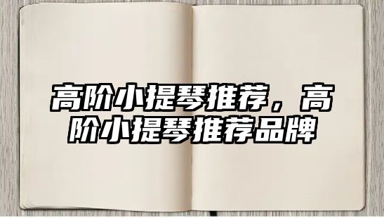 高階小提琴推薦，高階小提琴推薦品牌