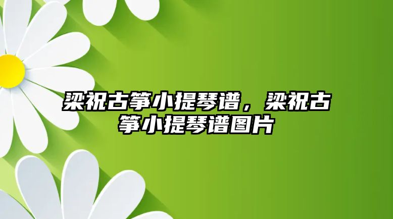 梁祝古箏小提琴譜，梁祝古箏小提琴譜圖片