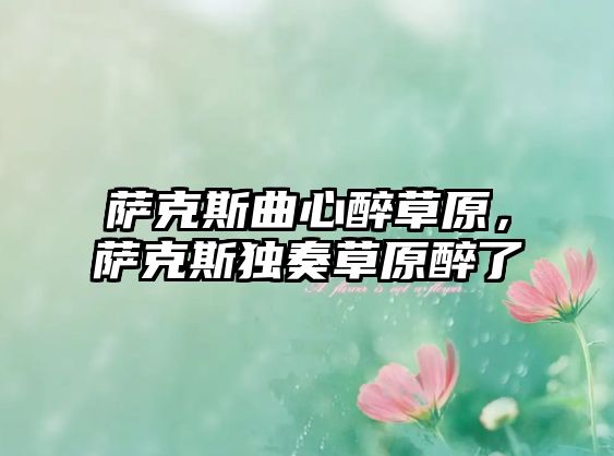 薩克斯曲心醉草原，薩克斯獨奏草原醉了