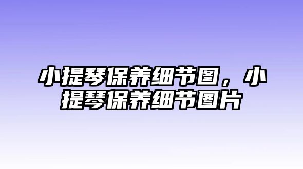 小提琴保養(yǎng)細(xì)節(jié)圖，小提琴保養(yǎng)細(xì)節(jié)圖片