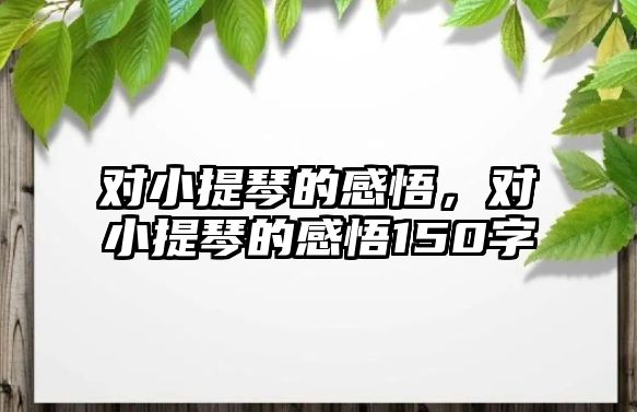 對小提琴的感悟，對小提琴的感悟150字