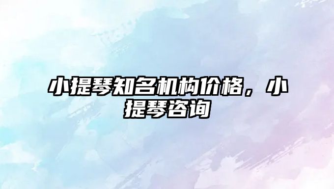 小提琴知名機構價格，小提琴咨詢