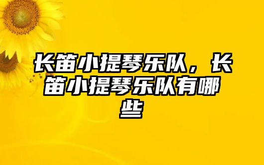 長笛小提琴樂隊，長笛小提琴樂隊有哪些