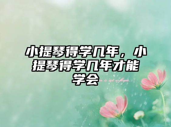 小提琴得學(xué)幾年，小提琴得學(xué)幾年才能學(xué)會