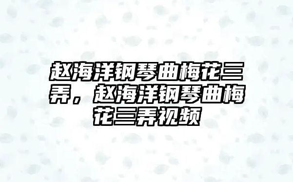 趙海洋鋼琴曲梅花三弄，趙海洋鋼琴曲梅花三弄視頻