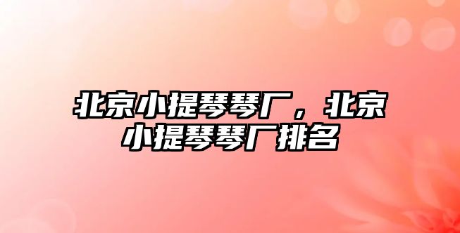 北京小提琴琴?gòu)S，北京小提琴琴?gòu)S排名