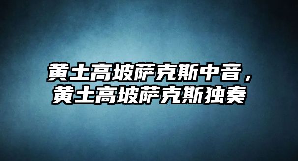 黃土高坡薩克斯中音，黃土高坡薩克斯獨奏