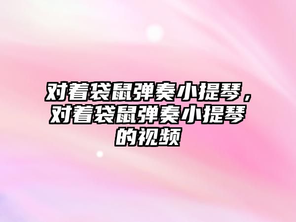 對著袋鼠彈奏小提琴，對著袋鼠彈奏小提琴的視頻