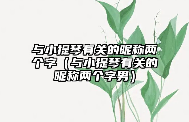 與小提琴有關的昵稱兩個字（與小提琴有關的昵稱兩個字男）