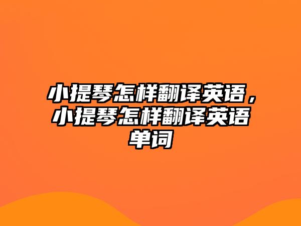 小提琴怎樣翻譯英語，小提琴怎樣翻譯英語單詞