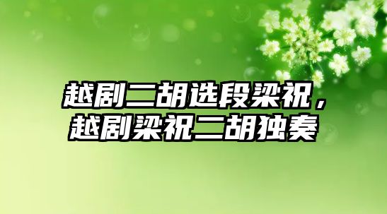 越劇二胡選段梁祝，越劇梁祝二胡獨(dú)奏