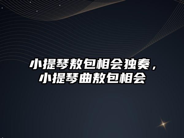 小提琴敖包相會獨奏，小提琴曲敖包相會