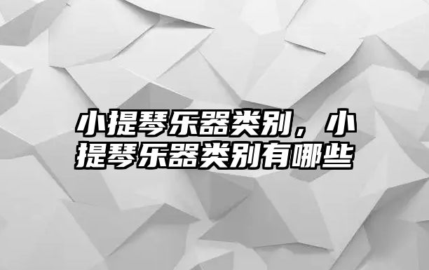 小提琴樂器類別，小提琴樂器類別有哪些