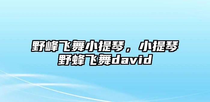 野峰飛舞小提琴，小提琴野蜂飛舞david