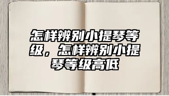 怎樣辨別小提琴等級，怎樣辨別小提琴等級高低