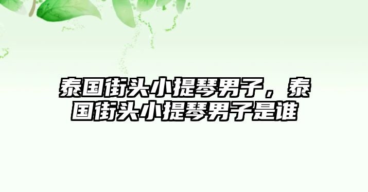 泰國街頭小提琴男子，泰國街頭小提琴男子是誰