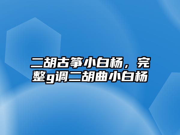 二胡古箏小白楊，完整g調二胡曲小白楊