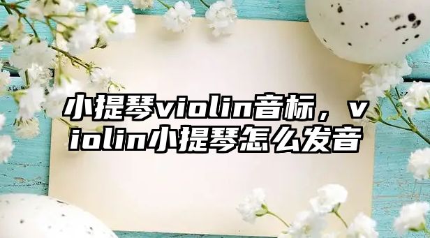 小提琴violin音標(biāo)，violin小提琴怎么發(fā)音