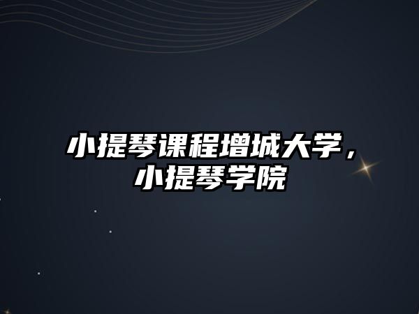 小提琴課程增城大學(xué)，小提琴學(xué)院