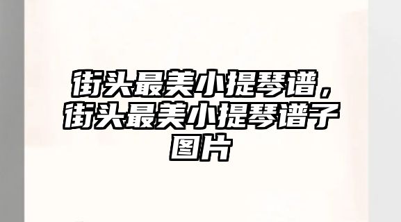 街頭最美小提琴譜，街頭最美小提琴譜子圖片