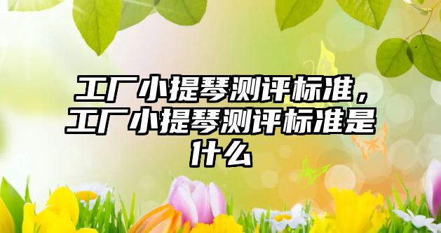 工廠小提琴測評標準，工廠小提琴測評標準是什么