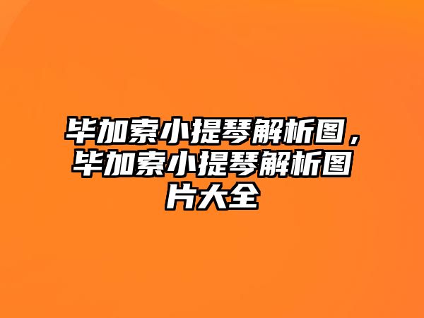 畢加索小提琴解析圖，畢加索小提琴解析圖片大全