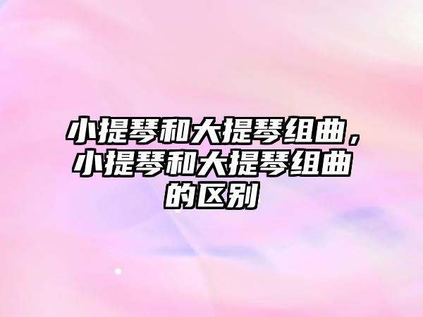 小提琴和大提琴組曲，小提琴和大提琴組曲的區別