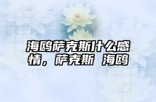 海鷗薩克斯什么感情，薩克斯 海鷗