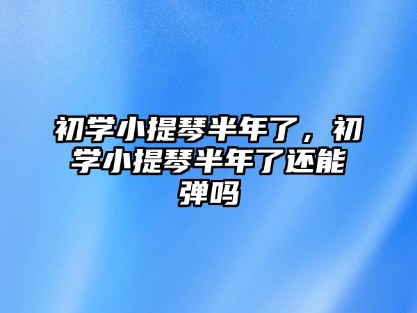 初學(xué)小提琴半年了，初學(xué)小提琴半年了還能彈嗎