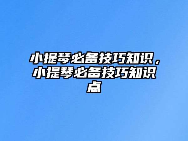 小提琴必備技巧知識，小提琴必備技巧知識點(diǎn)