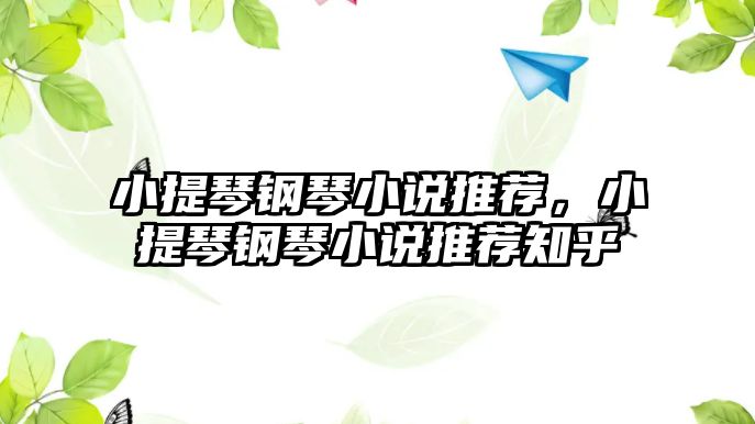 小提琴鋼琴小說推薦，小提琴鋼琴小說推薦知乎