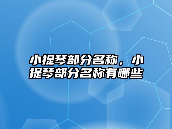 小提琴部分名稱，小提琴部分名稱有哪些