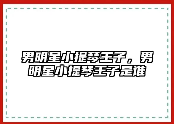 男明星小提琴王子，男明星小提琴王子是誰