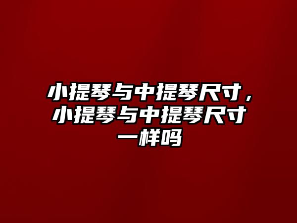 小提琴與中提琴尺寸，小提琴與中提琴尺寸一樣嗎