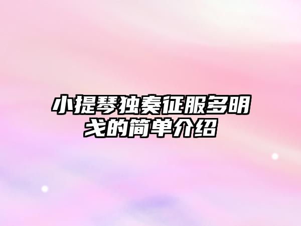 小提琴獨奏征服多明戈的簡單介紹